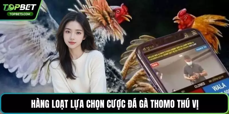 Hàng loạt lựa chọn cược đá gà Thomo thú vị