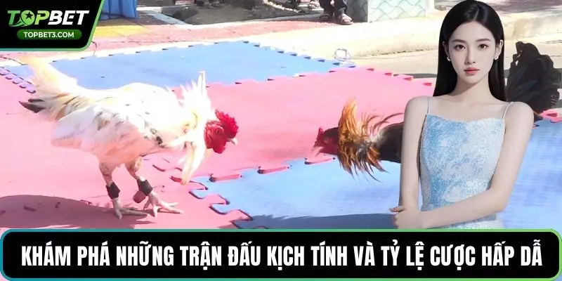 Khám phá những trận đấu kịch tính và tỷ lệ cược hấp dẫn