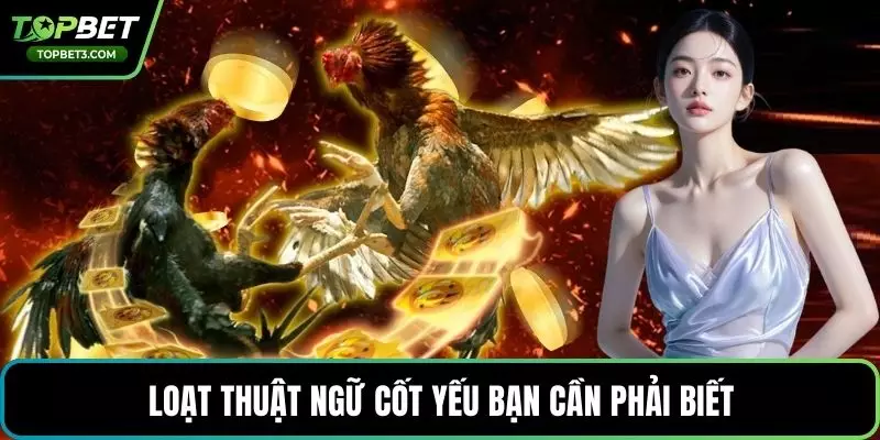 Loạt thuật ngữ cốt yếu bạn cần phải biết