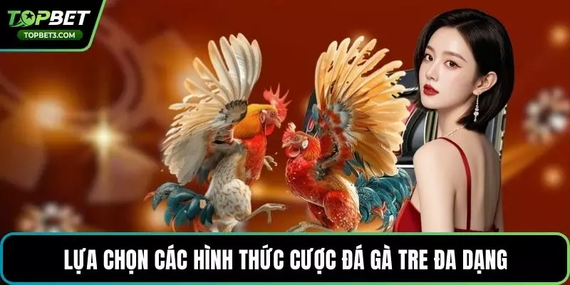 Lựa chọn các hình thức cược đá gà tre đa dạng