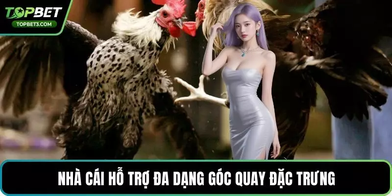 Nhà cái hỗ trợ đa dạng góc quay đặc trưng