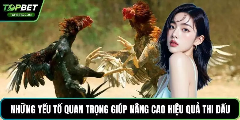 Những yếu tố quan trọng giúp nâng cao hiệu quả thi đấu